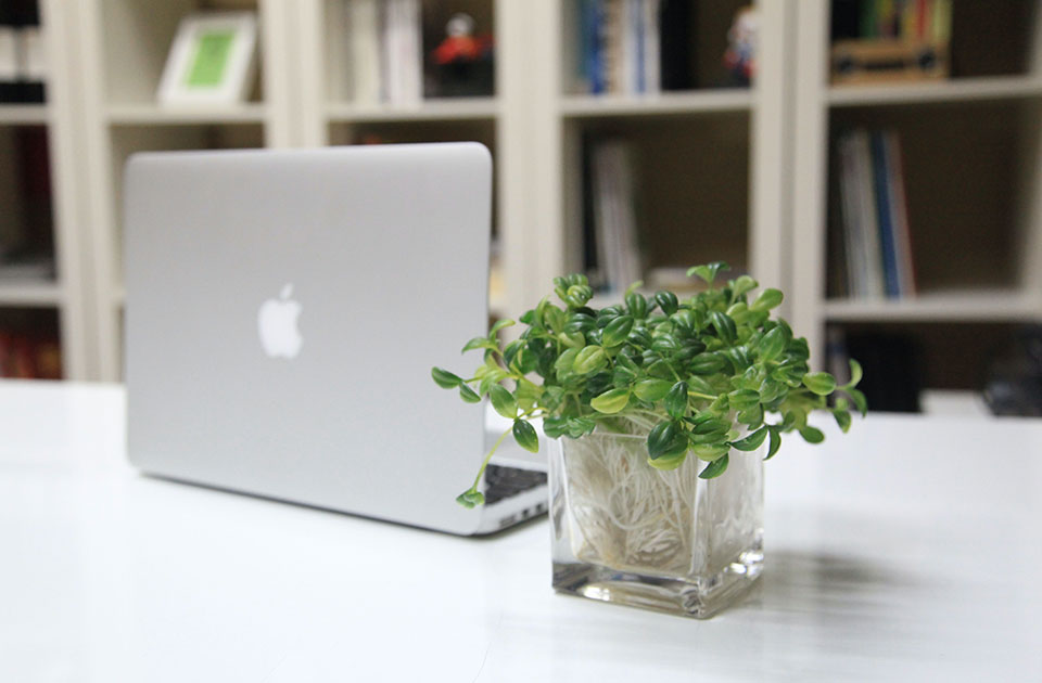 商业空间与导视设计